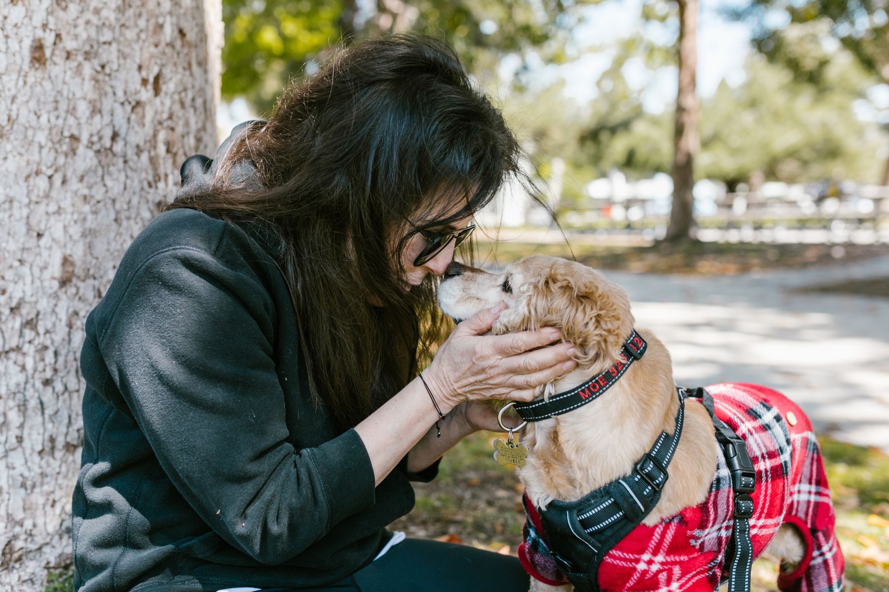 A pet parent sharing a quiet moment with their dog